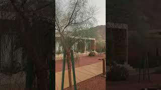 Have You Seen What Happened When It Started Raining In Alula Saudi Arabia? | Tamil | Travelwithus