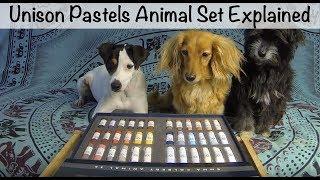 Unison Pastels Animal Set Explained