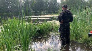 КЛЁВ-УДОЧКУ ОТДАЙ!!! Наловил Карася по Утру и Переселил на Другой Прудок.