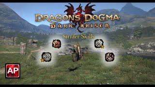 Dragon's Dogma: Dark Arisen - All Strider Skills (With Upgrades) | AbilityPreview