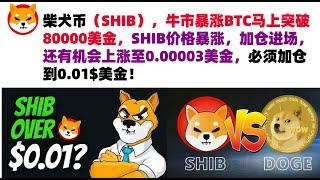 柴犬币（SHIB），牛市暴涨BTC马上突破80000美金，SHIB价格暴涨，加仓进场，还有机会上涨至0.00003美金，必须加仓到0.01$美金！shib币|柴犬币|屎币行情分析！