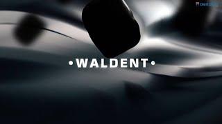 Waldent RTA i-Sensor RVG: Game-Changer for Dental X-Rays!