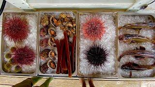 Beach Foraging The Intertidal Zone of Southeast Alaska