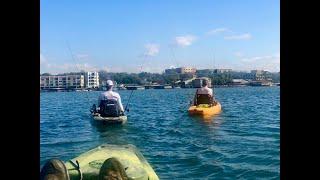 Hobie Compass, Outback, and Pro Angler Cruise