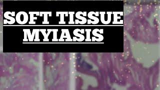 Soft tissue Myiasis || Maggot || Simplified explanation || Images & Histopathology