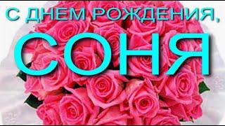 С ДНЕМ РОЖДЕНИЯ, СОНЯ.