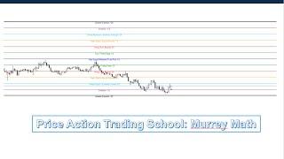 Price Action Trading  School: Murrey Math