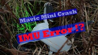 Mavic Mini IMU Error, did it result in a crash?? Did an IMU error cause my Mavic Mini to crash?