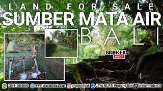 SUMBER MATA AIR BESAR || PENEBEL TABANAN BALI