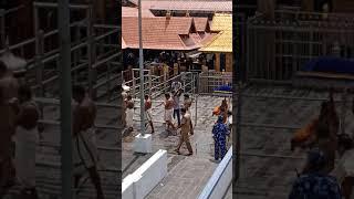 Ayyappan mandala poojai girivalam | live 2021 |#last bench toppers#sabrimala#ayyappan#kerala