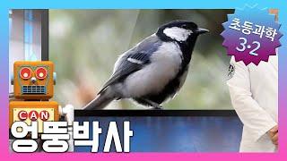 날아다니는 동물에는 어떤 것이 있을까요? | 초등3학년2학기 과학, 실험 |