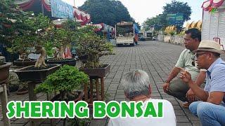 "BERSAMA PAK KADIS" MENINGKATKAN EKONOMI KREATIF BONSAI