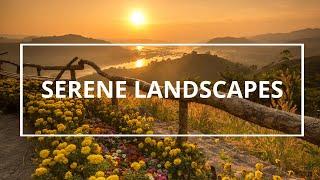 Serene landscapes relaxing melodies music