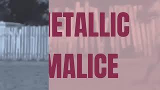 Metallic Malice - Homozygous Roan Stallion - Solo Select Horses