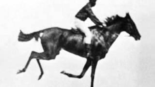 Race Horse First Film Ever 1878 Eadweard Muybridge