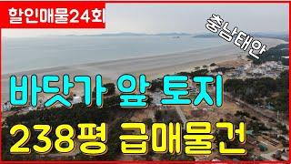 (할인매물24회) 바닷가 앞 토지 238평 급매물건 일등부동산티비