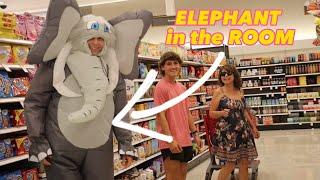 Addressing the Elephant in the Room! (PRANK)