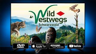 WildWestwegs - Schwarzwald I Kinotrailer I Eine Reise in die Naturoasen des Schwarzwalds