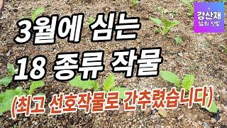 [텃밭] 3월에 심는 선호도 높은 작물 18 종류를 간추렸습니다