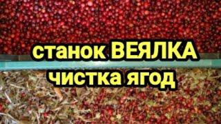 Станок для отчистки ягод. Очистка клюквы от травы.