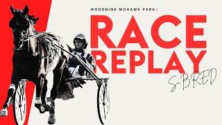 Mohawk, Sbred, January 13, 2025 Race 4 | Woodbine Horse Race Replay