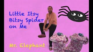 Little Itsy Bitsy Spider on Me | Kids Music | Movement | Body Parts