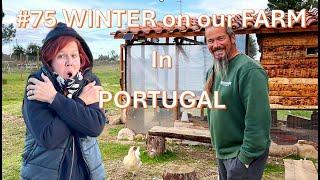 #75 WINTER on our old stone FARM in PORTUGAL