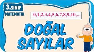 Doğal Sayılar  3.Sınıf Matematik #2025