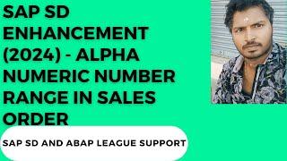 SAP SD Enhancement (2024) - Alpha Numeric number range in sales order