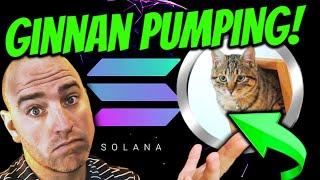  GINNAN SOLANA PUMPING!  MAJOR UPDATE TODAY!  DOGECOIN BROTHER?