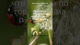 Мир Путешествий и Приключений ️ 5 #НашМир #путешествия #приключения