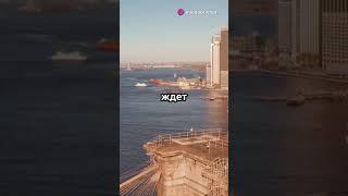 Как уехать в США с гарантией? | Эмиграция под ключ с VekmanExpert.com