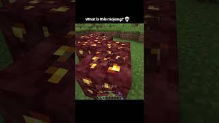 Minecraft Infinte Gold Moment