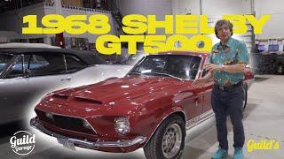 Shelby GT500 - It's Just a F**kn Mustang