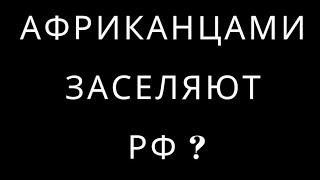 НОВЫЕ МИГРАНТЫ. ЗА МИГРАНТОВ СТРАНЫ УЖЕ БОРЮТСЯ! КОМУ РФ ПРОИГРЫВАЕТ ПО МИГРАНТАМ?