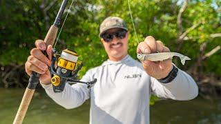 Grouper, Snook, Redfish, Sheepshead while Camping and Fishing the Florida Everglades!