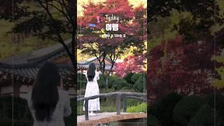 SNS 핫플레이스 미치도록 아름다운 단풍 명소 #제천 #제천가볼만한곳 #제천배론성지 #배론성지 #단풍명소 #가을여행지 #가을단풍 #가을여행지추천 #여행