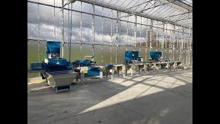 Plug Tray, Shuttle Tray and Pack Seeding Line by Urbinati - Rotomation