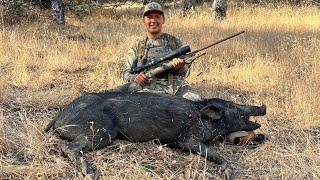 A California Public Land Pig Hunt