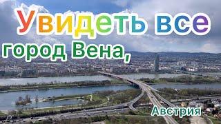 Вена за один день! Дунайская башня