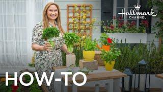 How to Grow Parsley - Home & Family