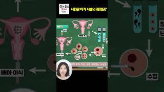 시험관 아기시술의 과정은??  #시험관아기시술과정 #시험관아기성공률높이는방법 #시험관아기과정  @ainatv8833