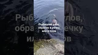 рыбацкие будни
