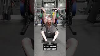 THE L3-L4 ELDOA EXERCISE FOR THE RECTUS FEMORIS MUSCLE!!! #Shorts