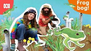 We make a home for frogs!  | Gardening Australia Junior | ABC Kids