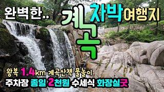 울산 석남사 계곡 울창한 숲 시원한 계곡 완벽한 차박여행지 왕복 1.4km 계곡산책 후 즐기는 천상의 물놀이 종일 주차 2000원 수세식 화장실굿 석남사