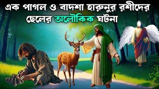 এক পাগল ও বাদশা হারুনুর রশিদের ছেলের অলৌকিক ঘটনা। ইসলামিক কাহিনী। Saa Deen