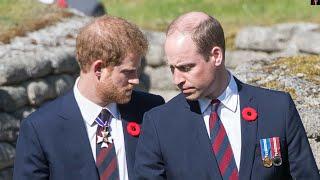 Harry révèle les méfaits de William sur son mariage avec Meghan