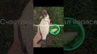 #Диктуй Клёв #https://t.me/diktujklev мой telegram канал #РыбалкаТоп #Fishing #Fish #ЛегендаЮтюба