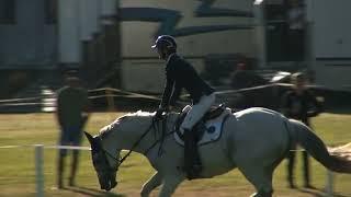 Sport Horse 1.30m - Show Jumping Waitemata World Cup Festival 2024